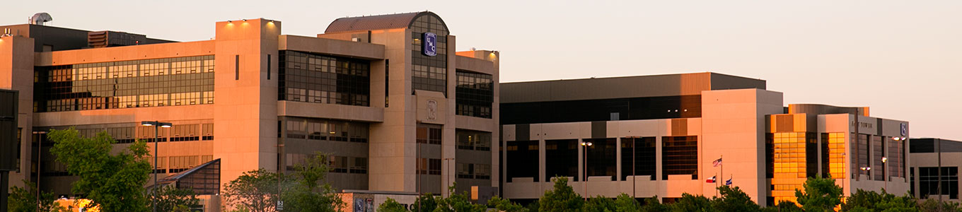 Health Professionals Umc Health System 